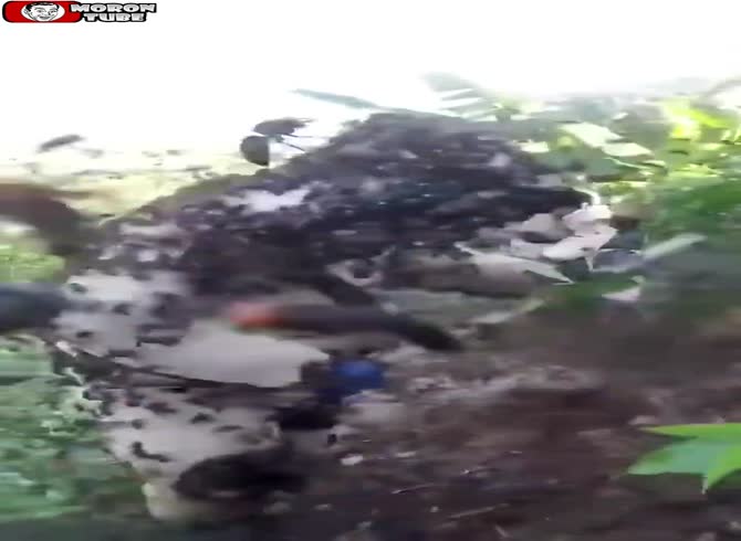 Video :Destroy the nest of a gigantic hornet!